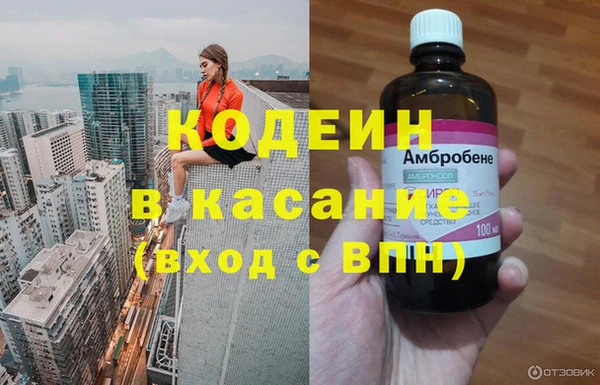 гидра Богородск
