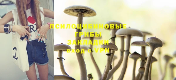 крисы Белокуриха