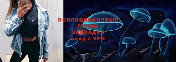 крисы Белокуриха