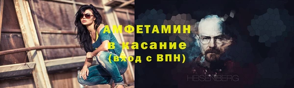гидра Богородск