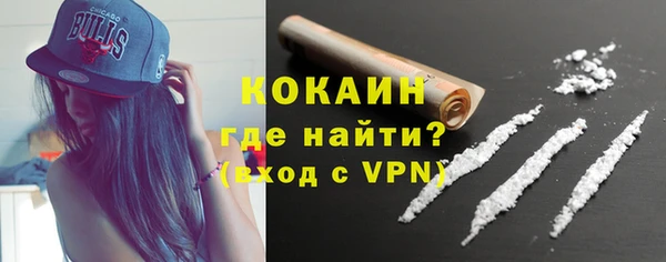 mdpv Богородицк
