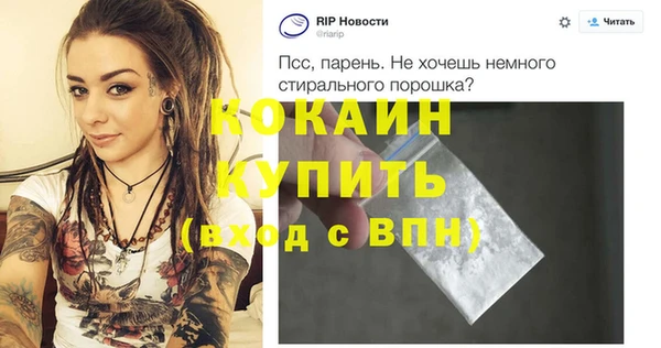 гидра Богородск