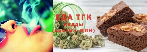 гидра Богородск
