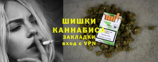 гидра Богородск